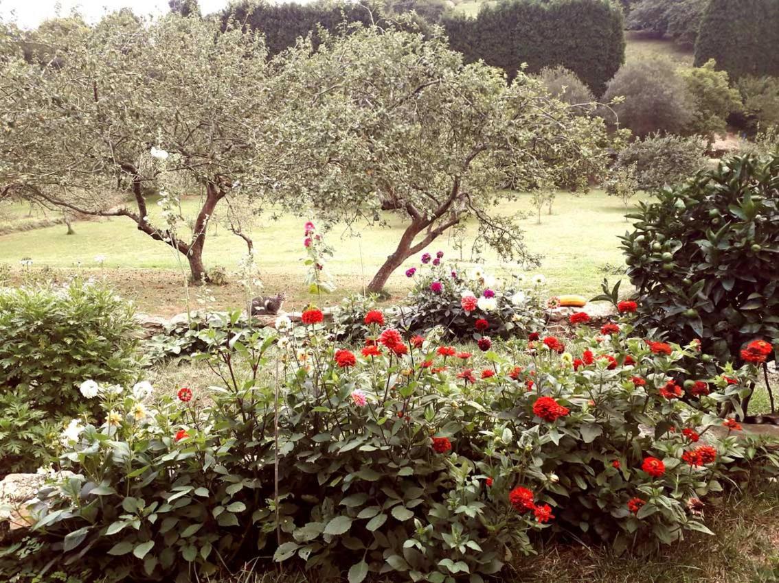 Paca Casa Rural. Arts And Landscape In Asturias ヒホン エクステリア 写真