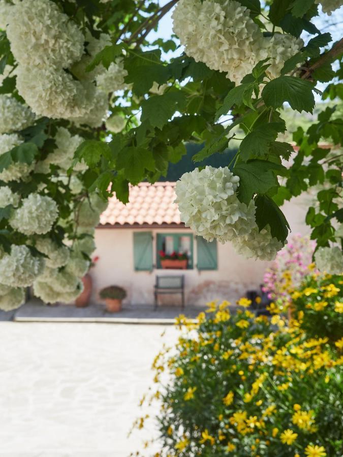 Paca Casa Rural. Arts And Landscape In Asturias ヒホン エクステリア 写真