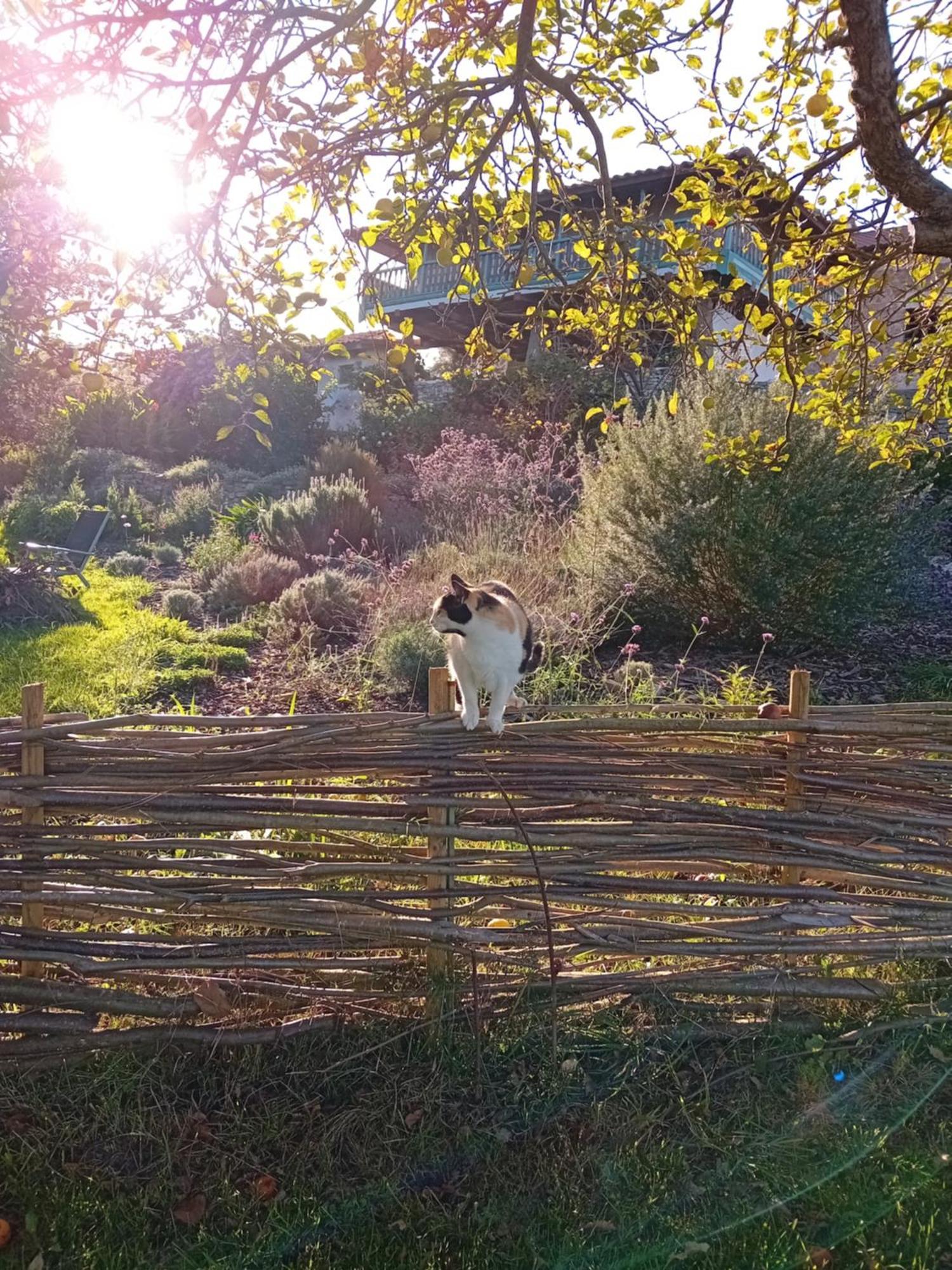 Paca Casa Rural. Arts And Landscape In Asturias ヒホン エクステリア 写真