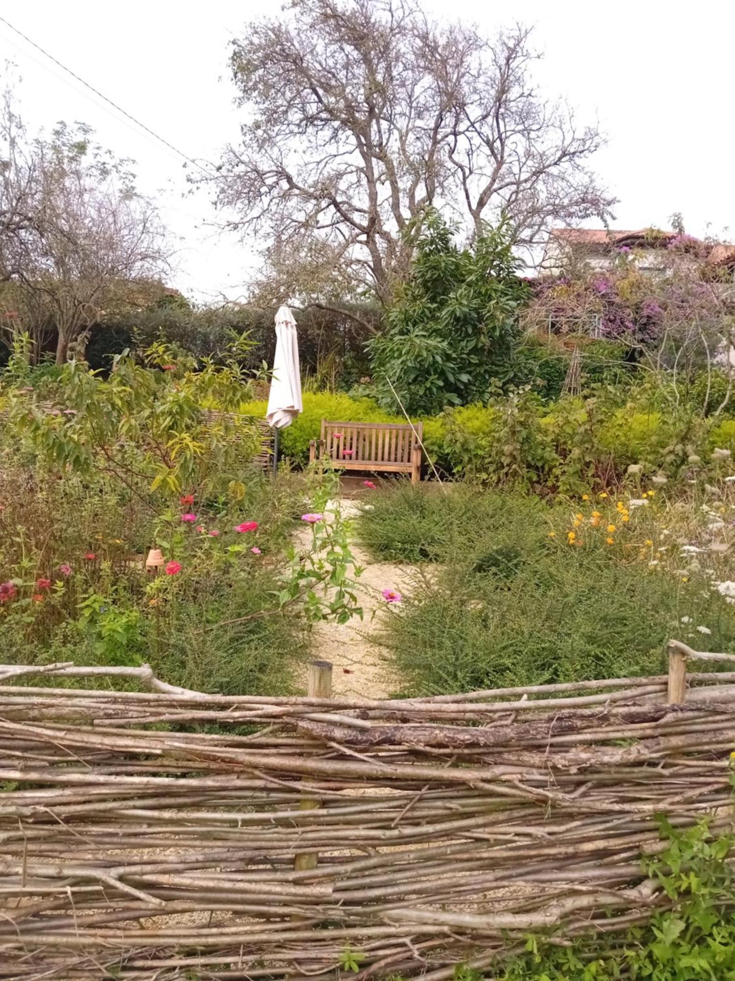 Paca Casa Rural. Arts And Landscape In Asturias ヒホン エクステリア 写真